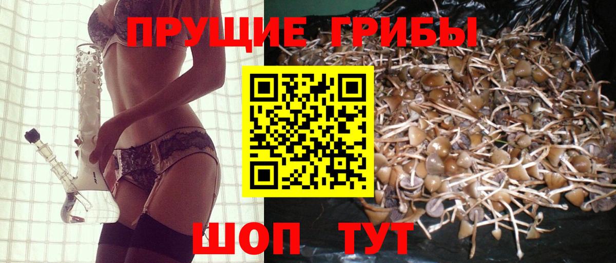 Галлюциногенные грибы GOLDEN TEACHER Йошкар-Ола