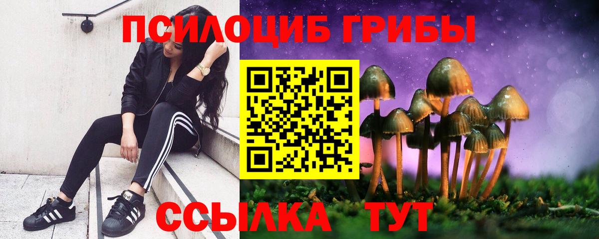 Псилоцибиновые грибы MAGIC MUSHROOMS  Вход с VPN  Йошкар-Ола 
